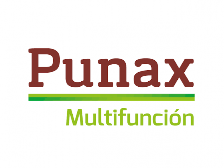 PUNAX